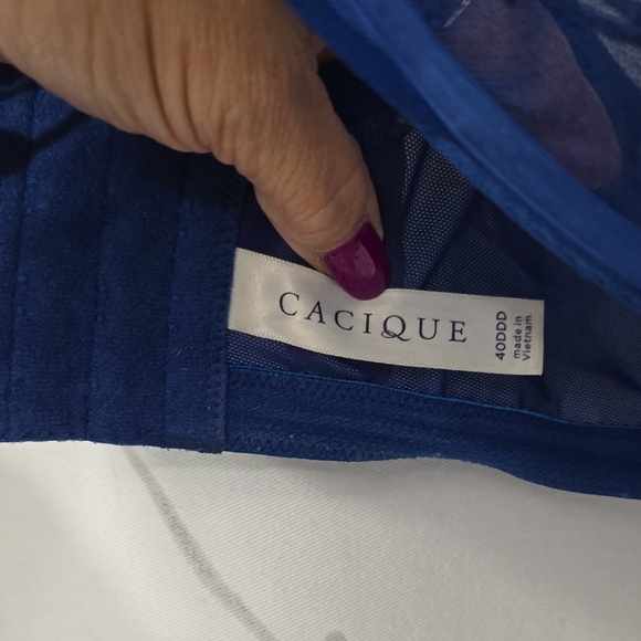 Chic Blue Lace Underwire Bra - Picture 2 of 6